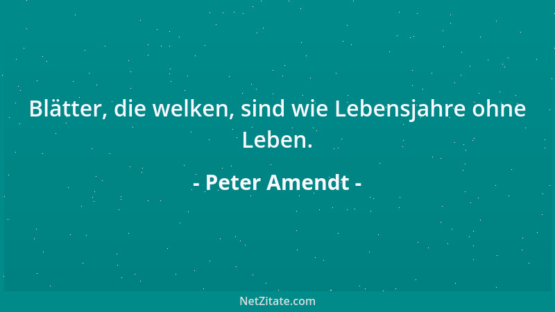 Peter Amendt - Wer Einblick hat, kann verstehen. Wer Durchblick hat, kann entscheiden. Wer Weitblick hat, weiß die Dinge zu...