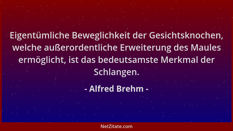 Alfred Brehm - Eigentümliche Beweglichkeit der Gesichtsknochen, welche außerordentliche Erweiterung des Maules ermöglicht,...