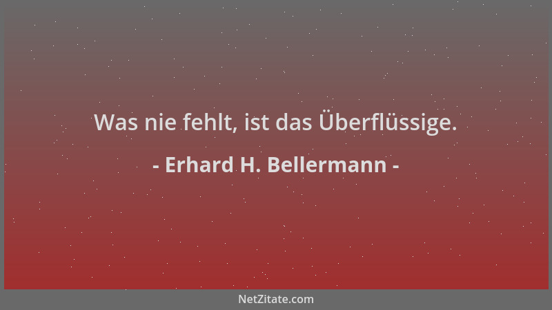Erhard H. Bellermann - Was nie fehlt, ist das Überflüssige....