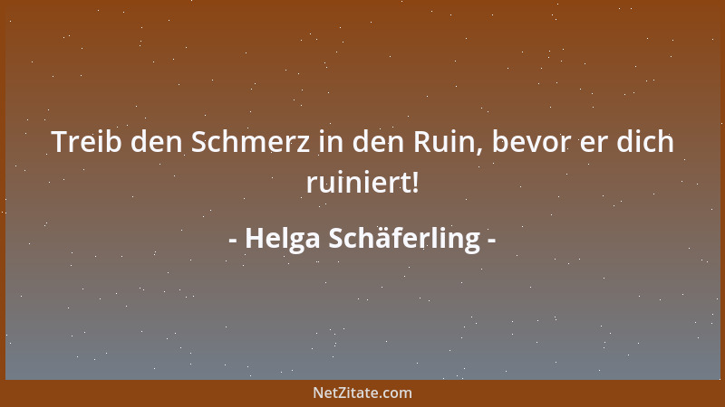 Helga Schäferling - Treib den Schmerz in den Ruin, bevor er dich ruiniert!...