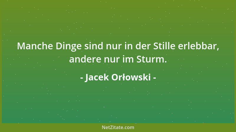 Jacek Orłowski - Manche Dinge sind nur in der Stille erlebbar, andere nur im Sturm....