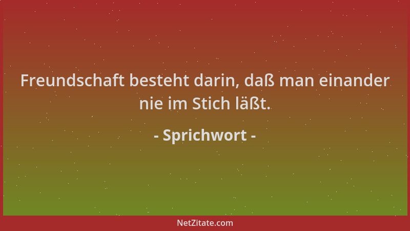 Sprichwort - Freundschaft besteht darin, daß man einander nie im Stich läßt....