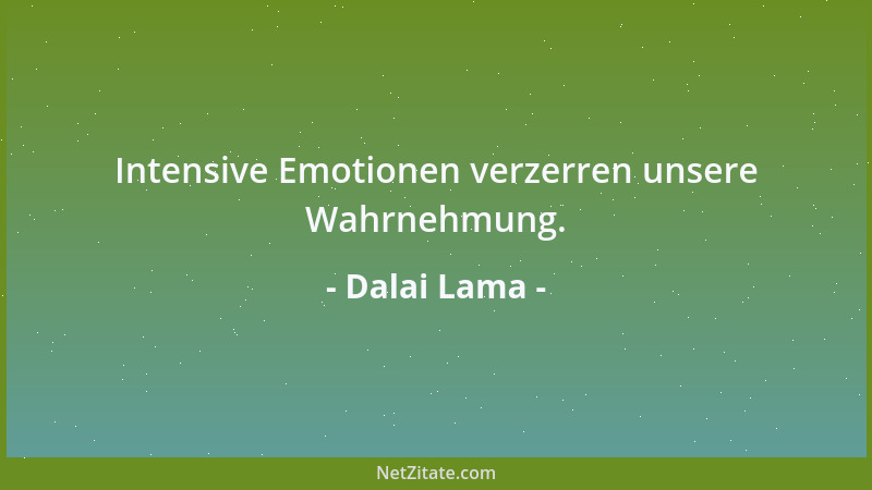 Dalai Lama - Intensive Emotionen verzerren unsere Wahrnehmung....