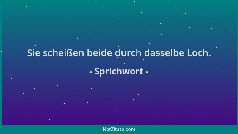Sprichwort - Sie scheißen beide durch dasselbe Loch....