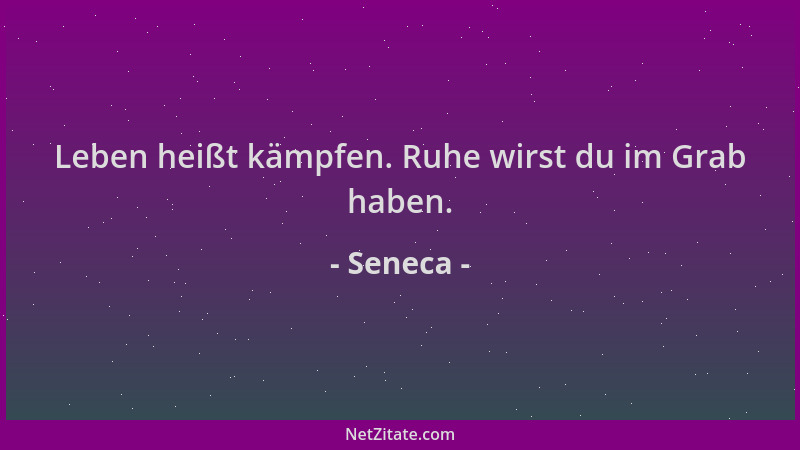 Seneca - Leben heißt kämpfen. Ruhe wirst du im Grab haben....