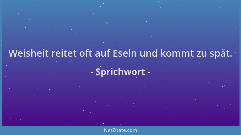Sprichwort - Weisheit reitet oft auf Eseln und kommt zu spät....
