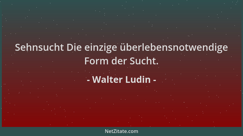Walter Ludin - Sehnsucht Die einzige überlebensnotwendige Form der Sucht....