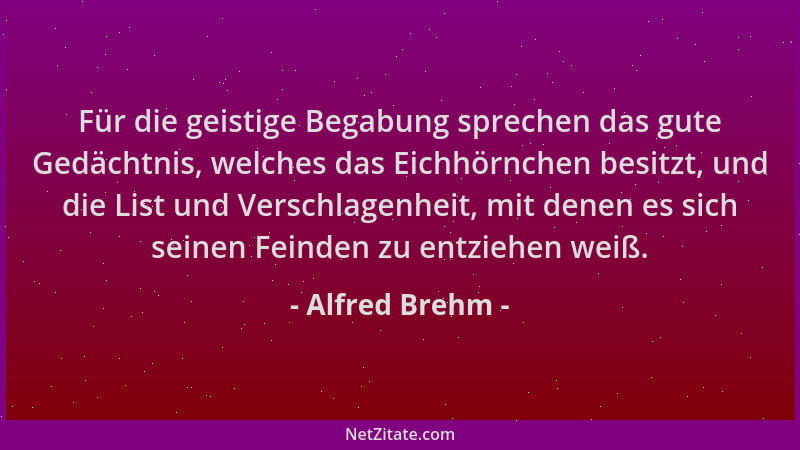 Alfred Brehm - Für die geistige Begabung sprechen das gute Gedächtnis, welches das Eichhörnchen besitzt, und die List und V...