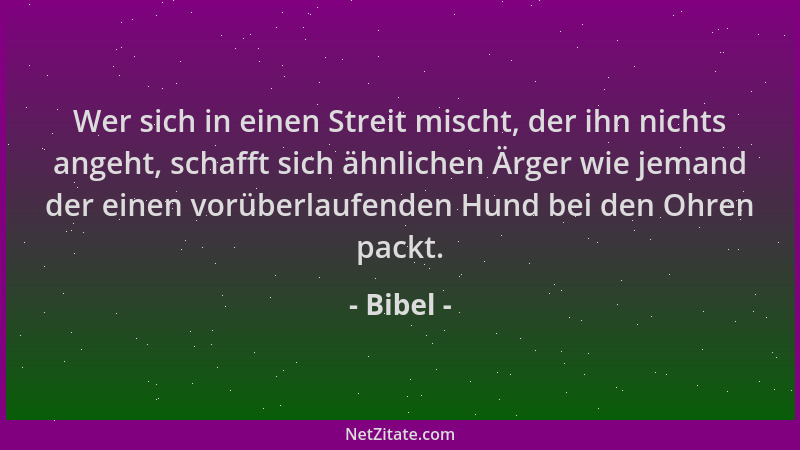 Bibel - Wer sich in einen Streit mischt, der ihn nichts angeht, schafft sich ähnlichen Ärger wie jemand der einen vorüberla...