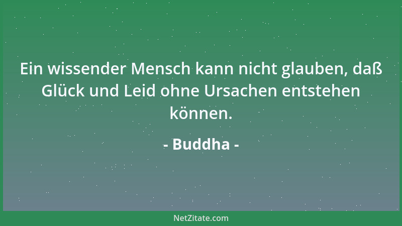 Buddha - Ein wissender Mensch kann nicht glauben, daß Glück und Leid ohne Ursachen entstehen können....