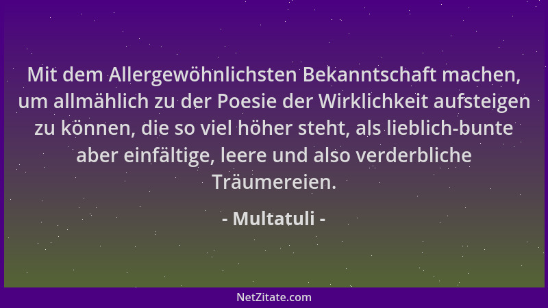 Multatuli - Mit dem Allergewöhnlichsten Bekanntschaft machen, um allmählich zu der Poesie der Wirklichkeit aufsteigen zu kö...