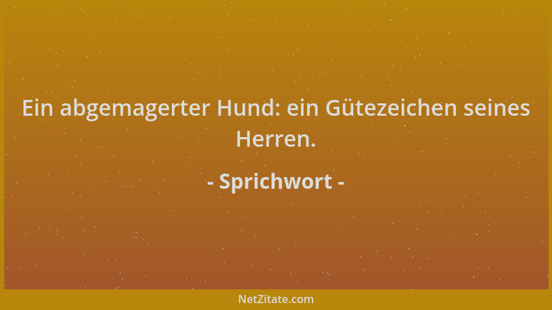 Sprichwort - Ein abgemagerter Hund: ein Gütezeichen seines Herren....