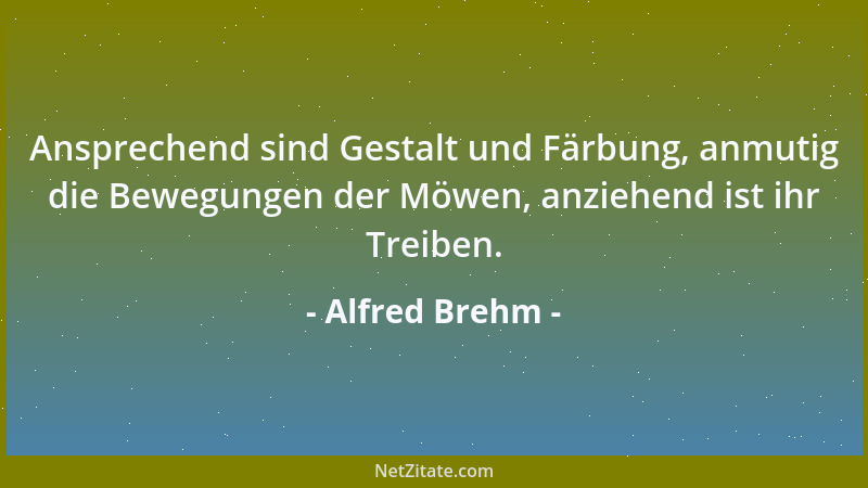 Alfred Brehm - Der Löwe ist der König der vierfüßigen Räuber, der Herrscher im Reiche der Säugetiere....