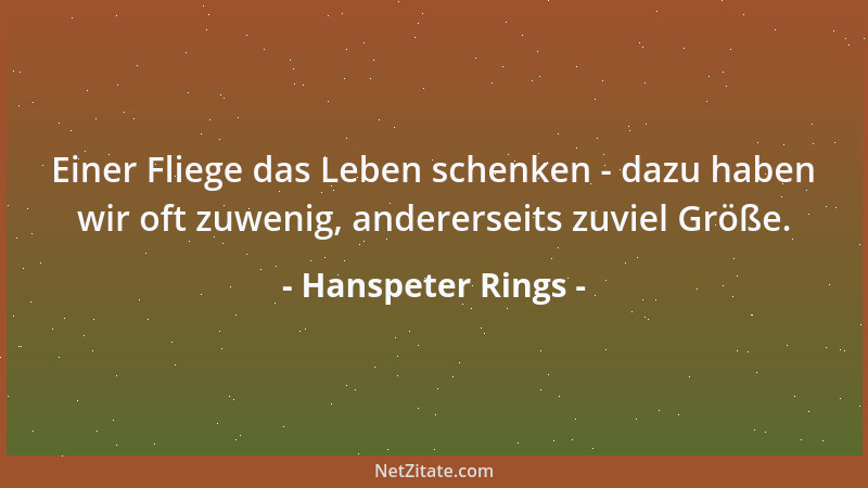 Hanspeter Rings - Einer Fliege das Leben schenken - dazu haben wir oft zuwenig, andererseits zuviel Größe....