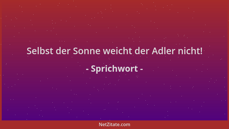 Sprichwort - Selbst der Sonne weicht der Adler nicht!...