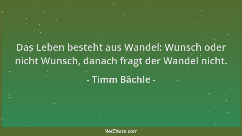 Timm Bächle - Das Leben besteht aus Wandel: Wunsch oder nicht Wunsch, danach fragt der Wandel nicht....