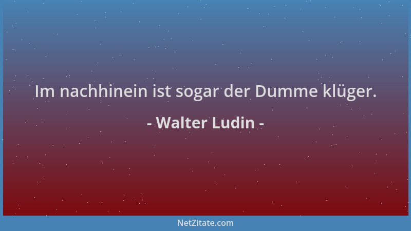 Walter Ludin - Im nachhinein ist sogar der Dumme klüger....