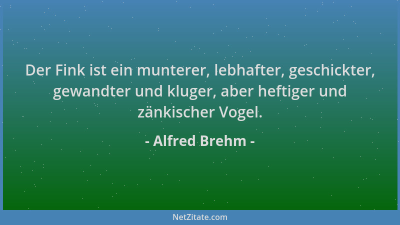 Alfred Brehm - Der Fink ist ein munterer, lebhafter, geschickter, gewandter und kluger, aber heftiger und zänkischer Vogel....