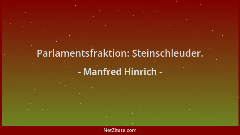 Manfred Hinrich - Parlamentsfraktion: Steinschleuder....