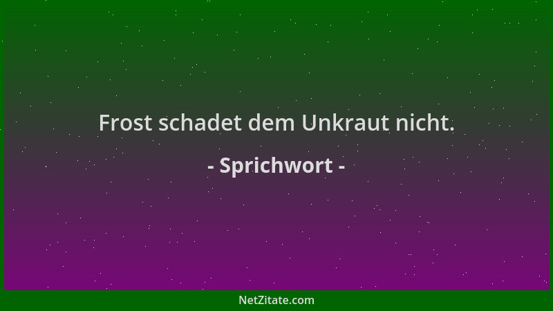 Sprichwort - Frost schadet dem Unkraut nicht....