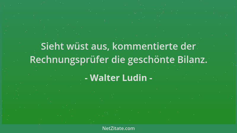 Walter Ludin - Sieht wüst aus, kommentierte der Rechnungsprüfer die geschönte Bilanz....