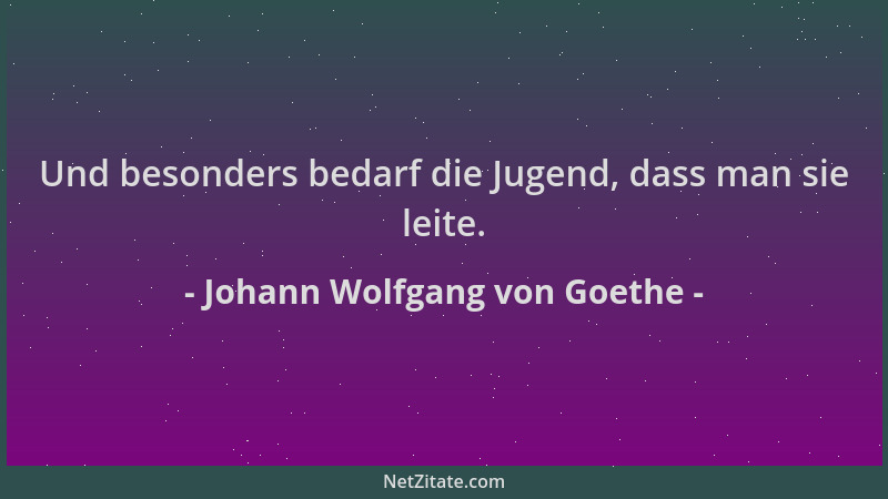 Johann Wolfgang von Goethe - Und besonders bedarf die Jugend, dass man sie leite....