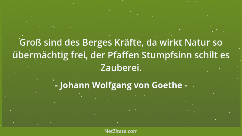 Johann Wolfgang von Goethe - Wer sich nicht zuviel dünkt, ist viel mehr, als er glaubt....