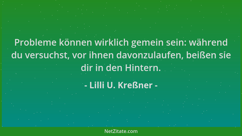 Lilli U. Kreßner - Probleme können wirklich gemein sein: während du versuchst, vor ihnen davonzulaufen, beißen sie dir in d...