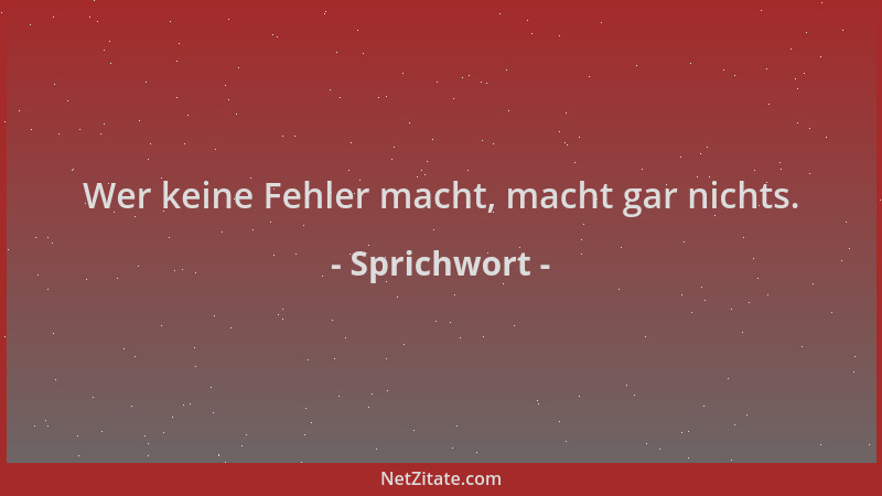 Sprichwort - Wer keine Fehler macht, macht gar nichts....