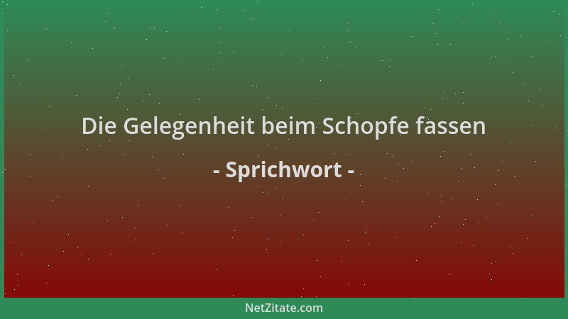 Sprichwort - Die Gelegenheit beim Schopfe fassen...