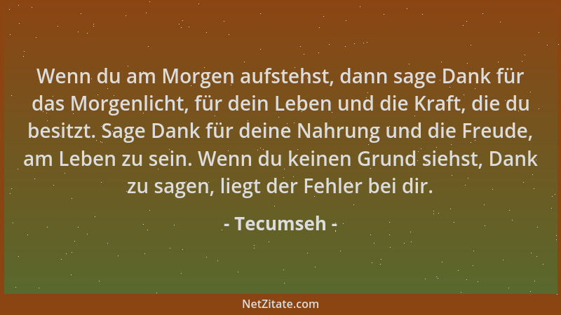 Tecumseh - Wenn du am Morgen aufstehst, dann sage Dank für das Morgenlicht, für dein Leben und die Kraft, die du besitzt. S...