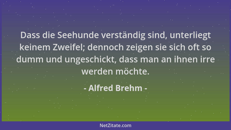 Alfred Brehm - Dass die Seehunde verständig sind, unterliegt keinem Zweifel; dennoch zeigen sie sich oft so dumm und ungesc...