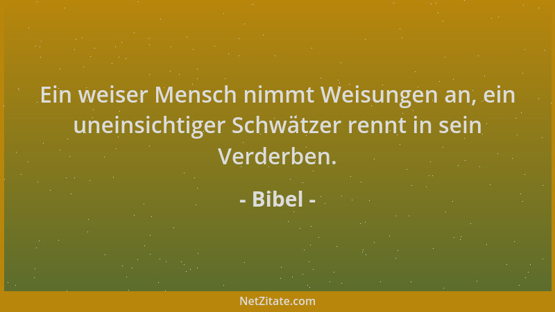 Bibel - Ein weiser Mensch nimmt Weisungen an, ein uneinsichtiger Schwätzer rennt in sein Verderben....