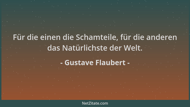 Gustave Flaubert - Für die einen die Schamteile, für die anderen das Natürlichste der Welt....