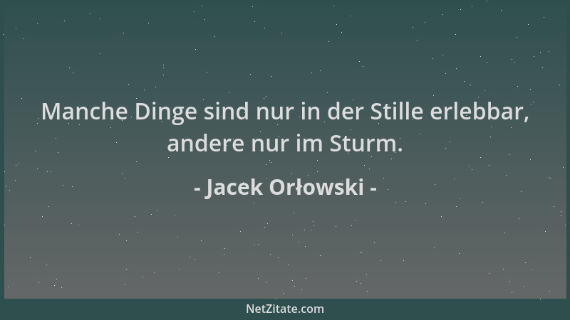 Jacek Orłowski - Manche Dinge sind nur in der Stille erlebbar, andere nur im Sturm....