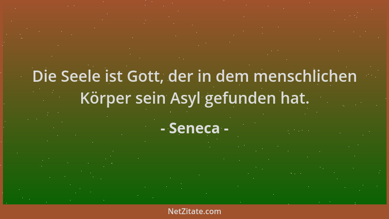 Seneca - Die Seele ist Gott, der in dem menschlichen Körper sein Asyl gefunden hat....