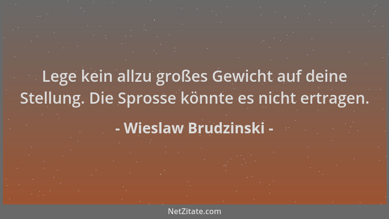 Wieslaw Brudzinski - Lege kein allzu großes Gewicht auf deine Stellung. Die Sprosse könnte es nicht ertragen....