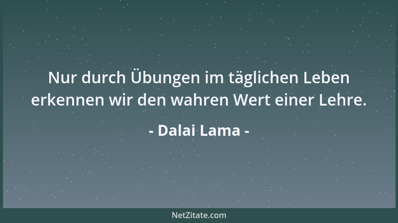 Dalai Lama - Nur durch Übungen im täglichen Leben erkennen wir den wahren Wert einer Lehre....