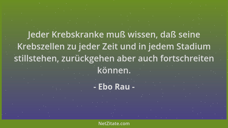 Ebo Rau - Jeder Krebskranke muß wissen, daß seine Krebszellen zu jeder Zeit und in jedem Stadium stillstehen, zurückgehen a...