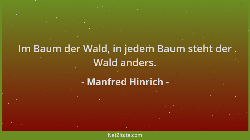 Manfred Hinrich - Im Baum der Wald, in jedem Baum steht der Wald anders....