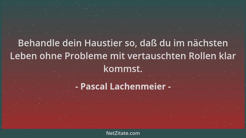 Pascal Lachenmeier - Behandle dein Haustier so, daß du im nächsten Leben ohne Probleme mit vertauschten Rollen klar kommst....