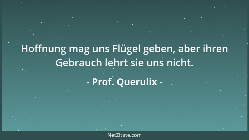 Prof. Querulix - Hoffnung mag uns Flügel geben, aber ihren Gebrauch lehrt sie uns nicht....