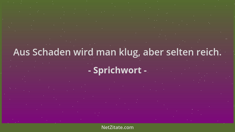 Sprichwort - Aus Schaden wird man klug, aber selten reich....