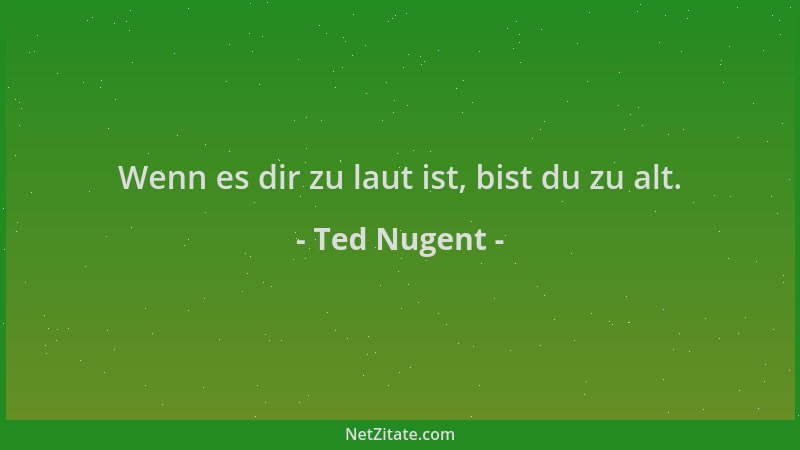 Ted Nugent - Wenn es dir zu laut ist, bist du zu alt....