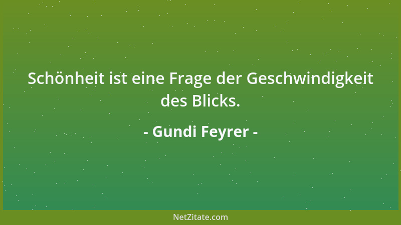 Gundi Feyrer - Schönheit ist eine Frage der Geschwindigkeit des Blicks....