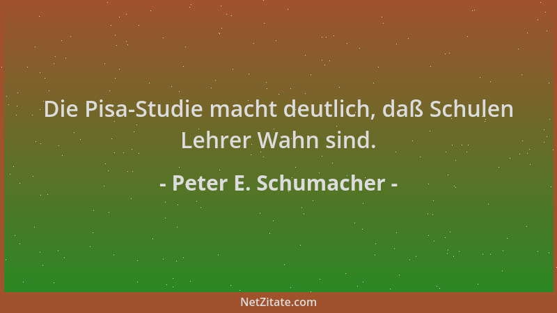 Peter E. Schumacher - Die Pisa-Studie macht deutlich, daß Schulen Lehrer Wahn sind....
