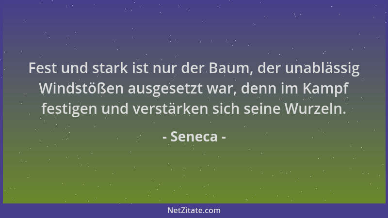 Seneca - Fest und stark ist nur der Baum, der unablässig Windstößen ausgesetzt war, denn im Kampf festigen und verstärken s...