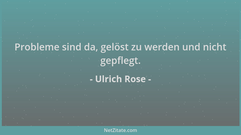 Ulrich Rose - Probleme sind da, gelöst zu werden und nicht gepflegt....