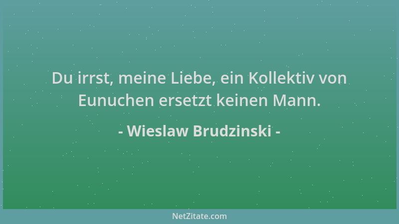 Wieslaw Brudzinski - Du irrst, meine Liebe, ein Kollektiv von Eunuchen ersetzt keinen Mann....