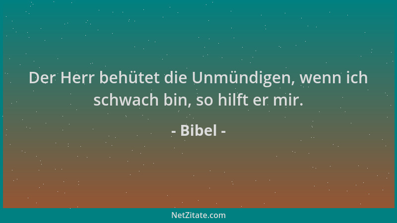 Bibel - Der Herr behütet die Unmündigen, wenn ich schwach bin, so hilft er mir....